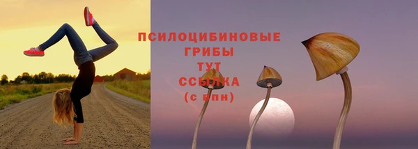 спайс Беломорск