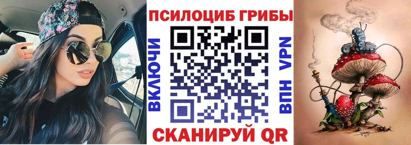 Псилоцибиновые грибы мицелий  даркнет состав  Ковылкино 